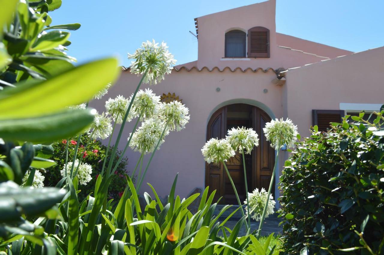 Case Vacanza Country Village Stintino Exterior foto